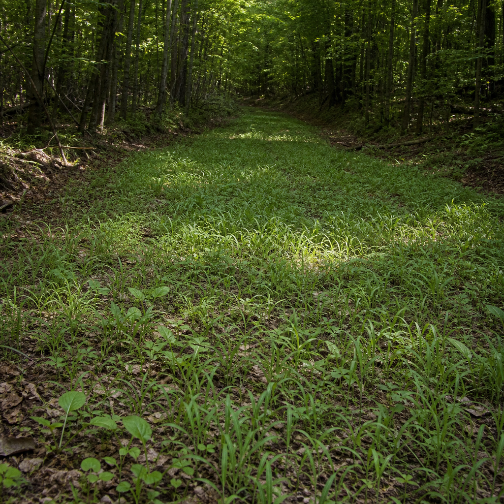 Green Mile No-Till