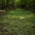 Green Mile No-Till